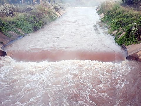 17Tmk_Heme_water_1