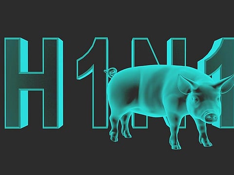H1N1