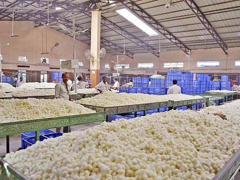Silk Market