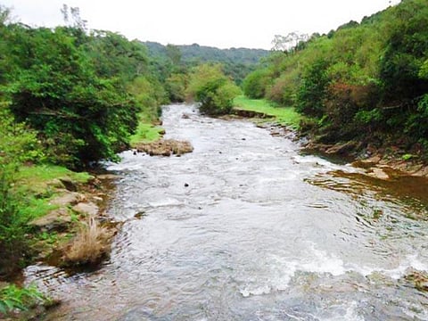 mahadayi