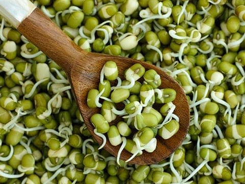 Sprouts