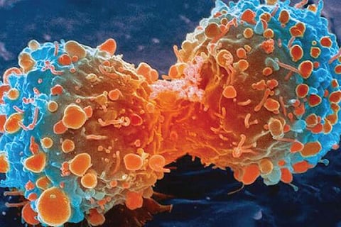 Cancer new