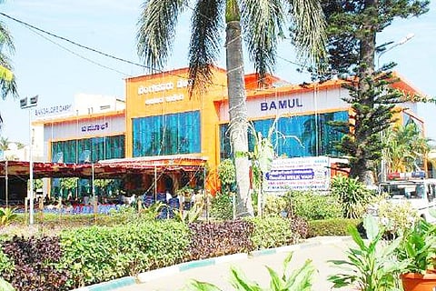 bamul HO