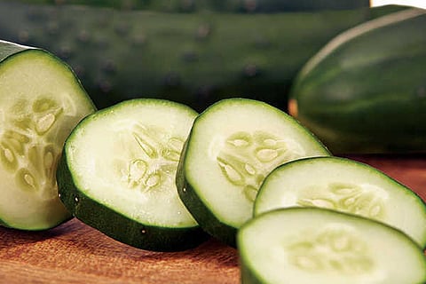 cucumber seeds vvani