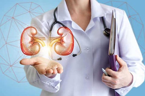 kidney vvani