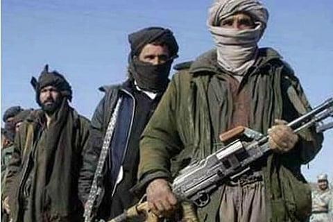 terrorist