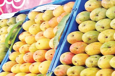 Mango
