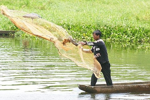 fishing-at-lake-koktak-manipur-india