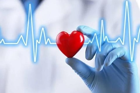 Heart