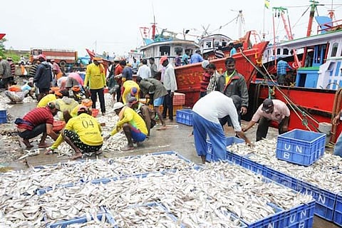 fishing new