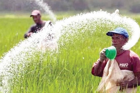 Farmer