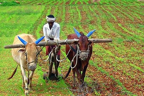 Vittavani 4 Farmer