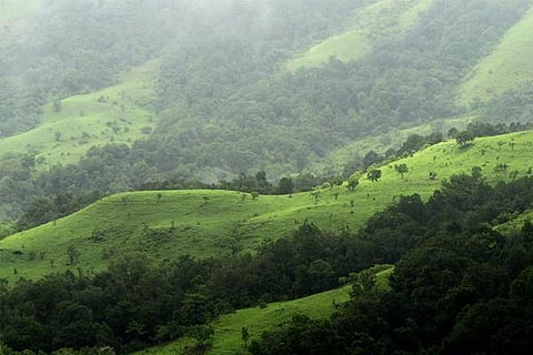 western ghats