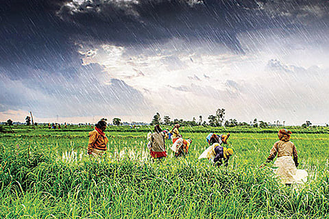 0 investment agri
