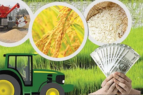 Agriculture vvani