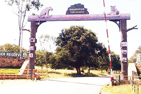 Bandipur Tiger Reserve