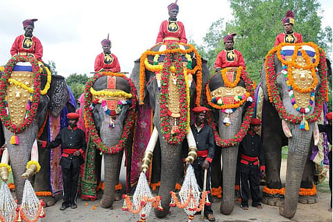 Dasara Elephant