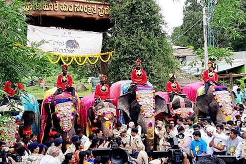 Gajapayana