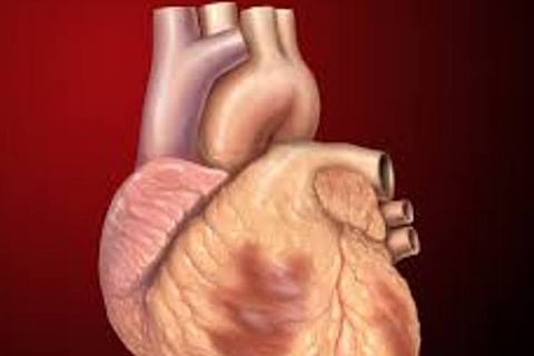 HEART download