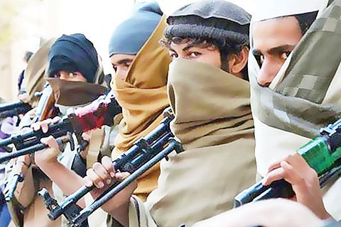 Terrorist vvani