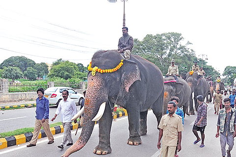dasara