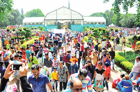 lalbagh flower show (9) vvani