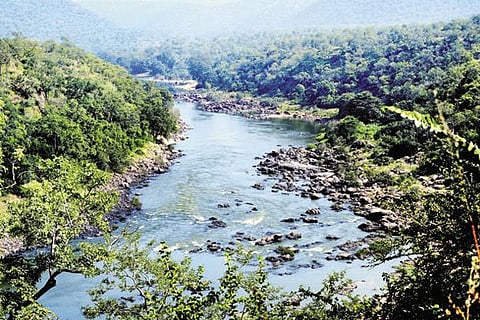 Mahadayi