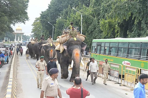 gajapade