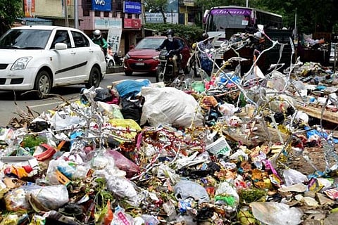 littering