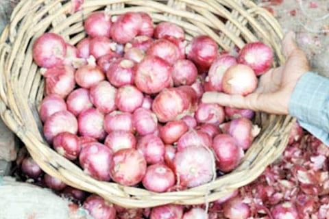 onion 2