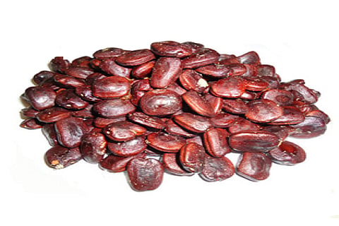 Tamarind seed