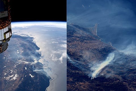 Wildfire