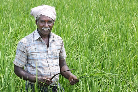 FARMER