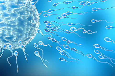 Infertility 30 Dec 19