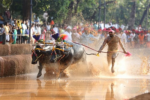 KAMBALA