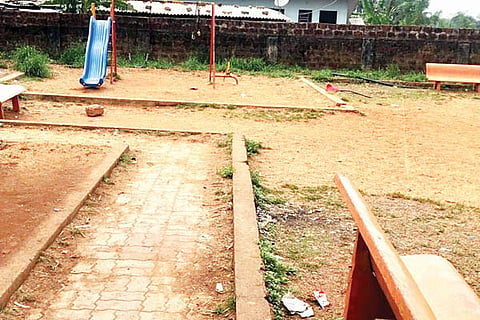 garden 22222