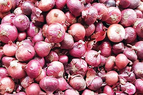 h5- Egypt Onion