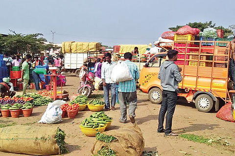 h5- Vegg Market 1