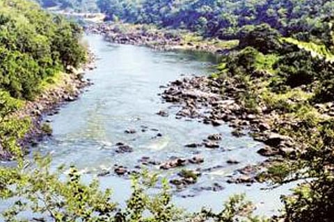 mahadayi