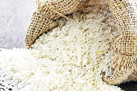 rice