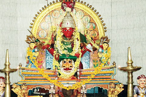 14sdp1
