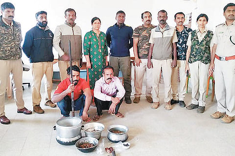 14vtp3 kaadu kuri