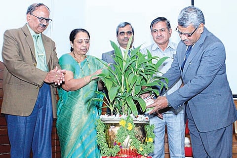 24 Jaggu 1-Web
