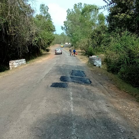 6sirsi5.jpg