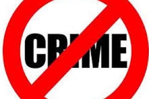 CRIMe download