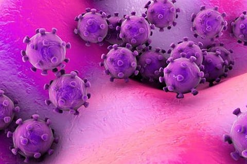 Carona Virus