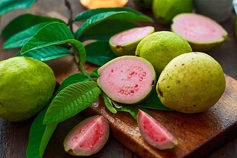 Gauva Fruite'