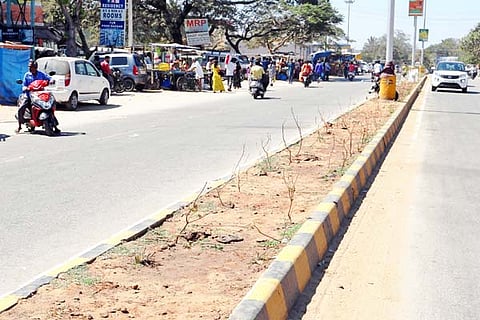 HUN-JAN-22-1(HUNSUR MAIN ROAD DIVIDER)