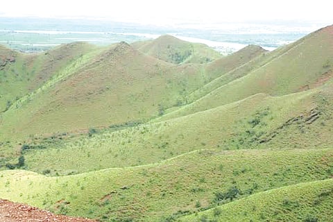 KAPPATAGUDDA