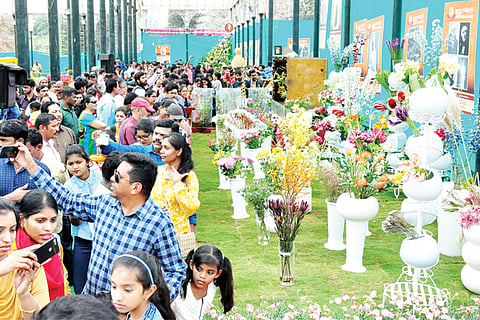 Lalbagh 5